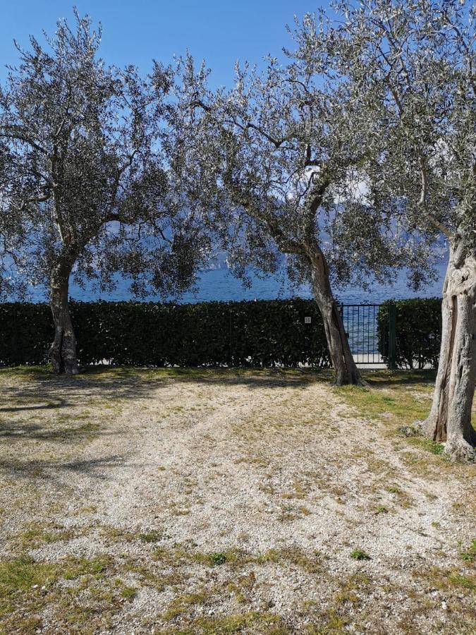 Camping Baldo Brenzone sul Garda Exteriör bild