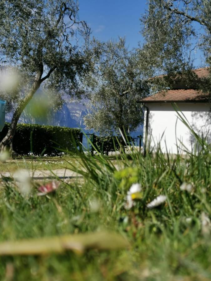 Camping Baldo Brenzone sul Garda Exteriör bild