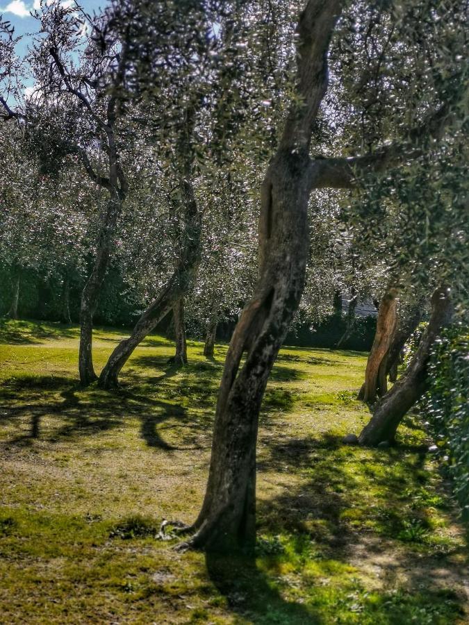 Camping Baldo Brenzone sul Garda Exteriör bild