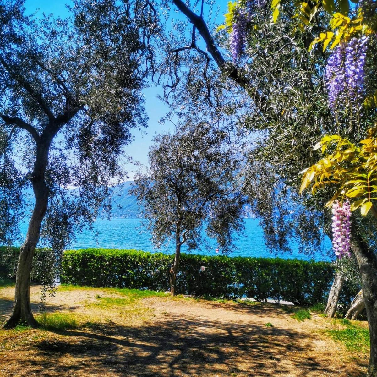 Camping Baldo Brenzone sul Garda Exteriör bild